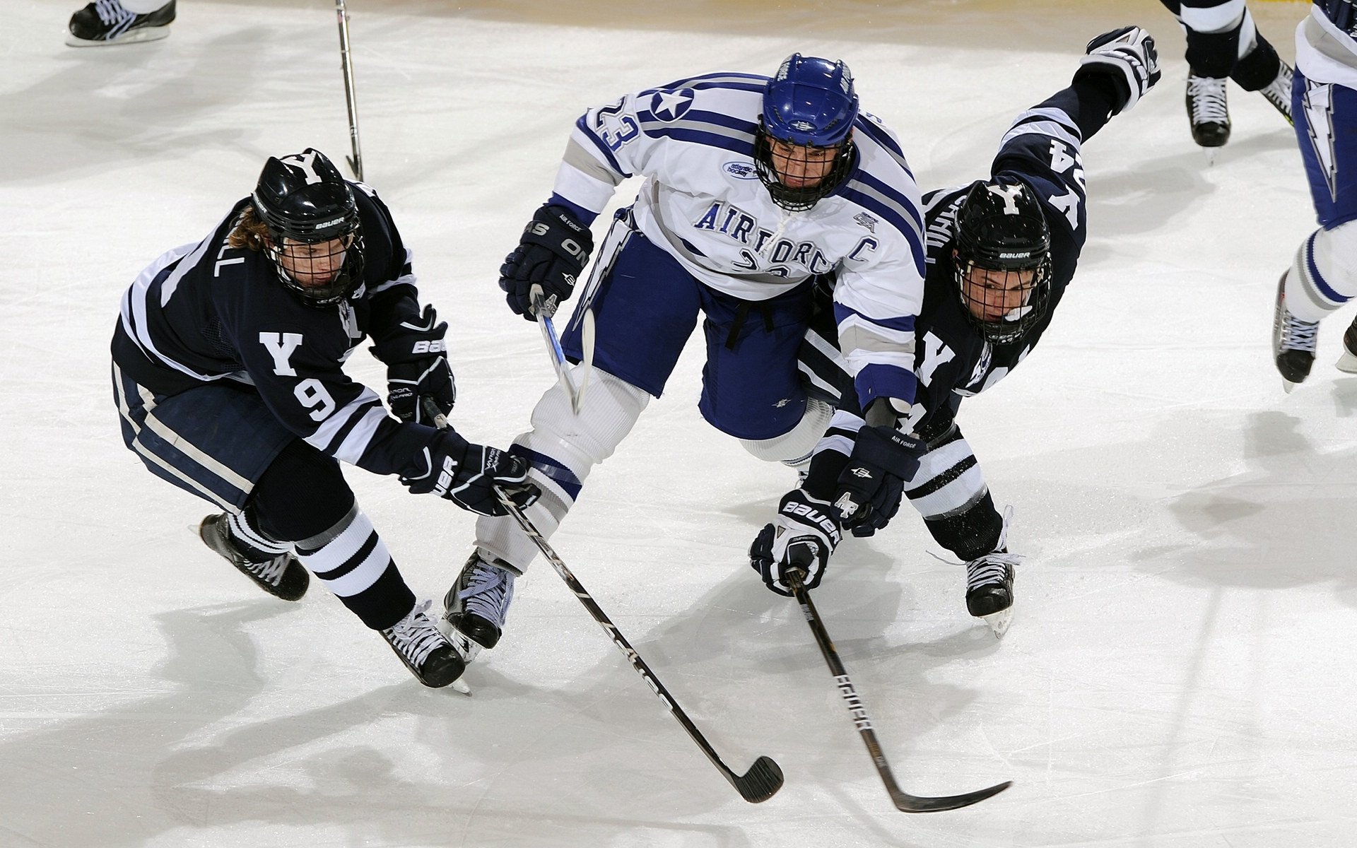 圭亚那国际森林跑步节吸引远方跑者，圭亚那旅游